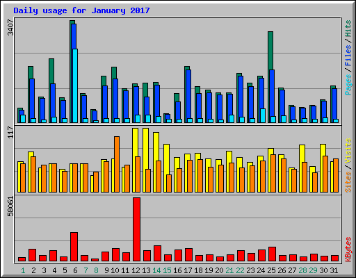 Daily usage for January 2017