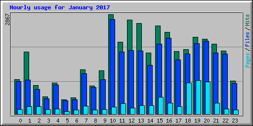 Hourly usage for January 2017